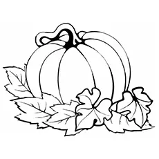 Pumpkin with leaves pumpkin coloring pages