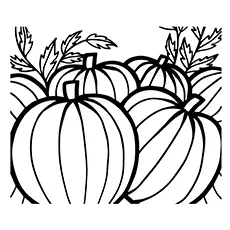 Multiple pumpkins coloring pages for kids