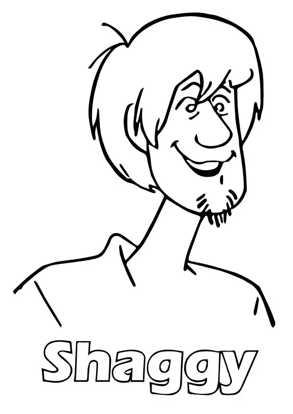 Shaggy