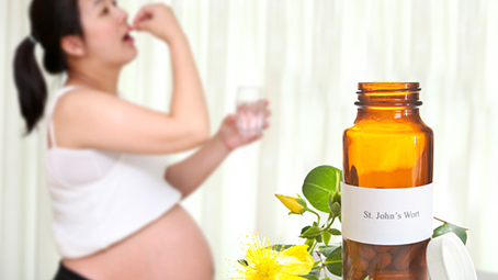 Can You Take St John's Wort During Pregnancy?