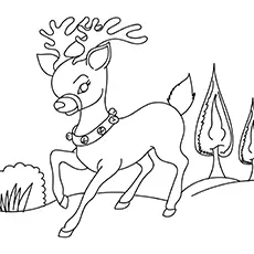 A spirited reindeer coloring page