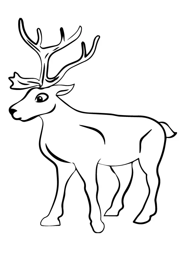 A-Reindeer-Coloring-Pages-st