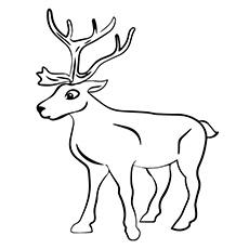 Happy reindeer coloring page