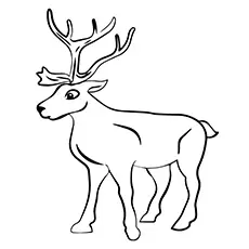 Happy reindeer coloring page