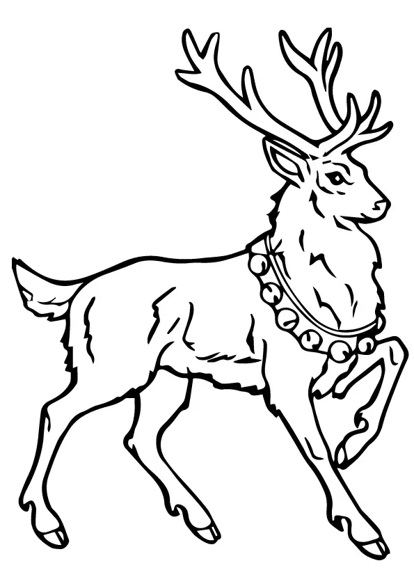 A-Reindeer-Coloring-Pagesbell