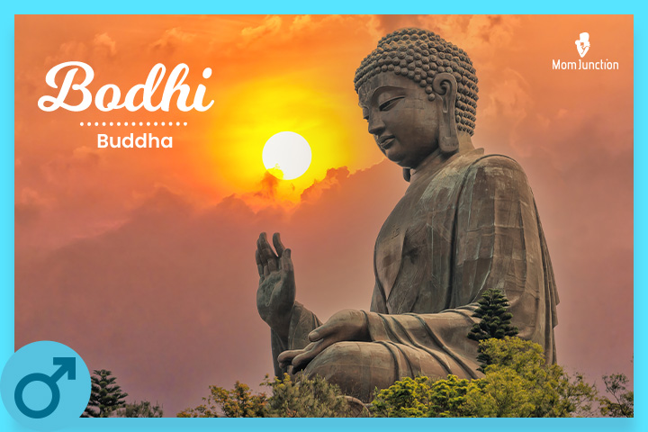 Bodhi is a Sanskrit name used to refer to the Buddha
