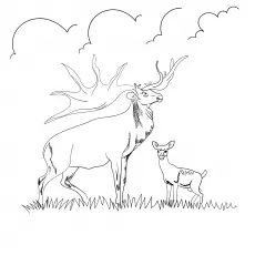 Caribou with reindeer coloring page