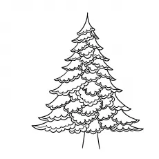 Christmas Tree contour coloring page