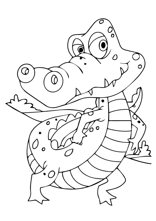 Crocodile