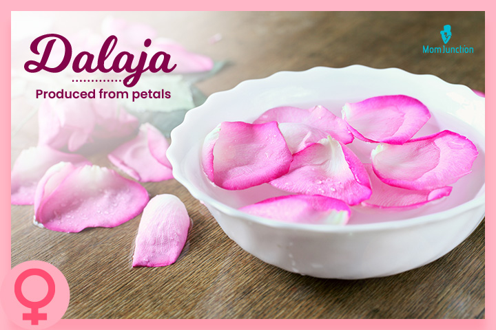 Dalaja is a Telugu baby name inspired by petals