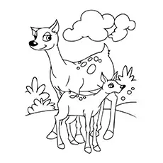 Deer Coloring Page Of Animals_image