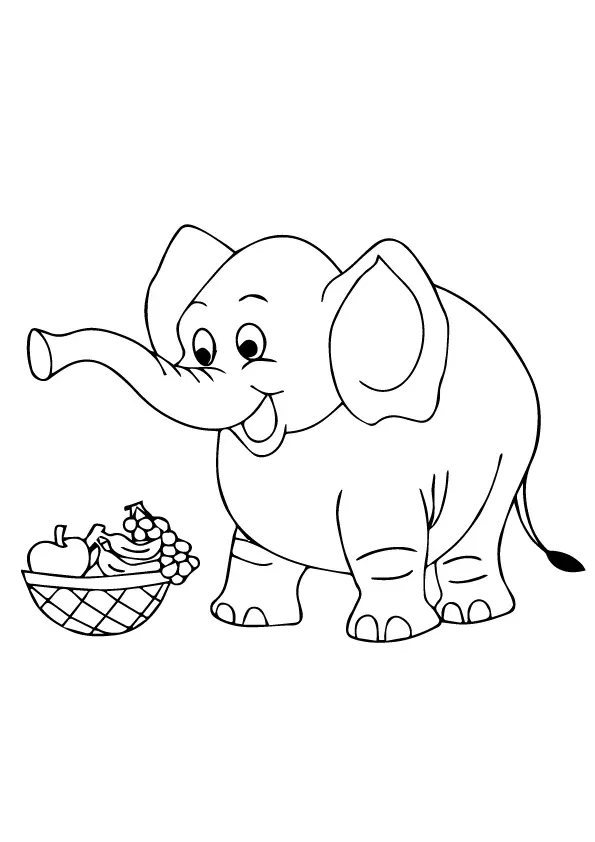 Elephant