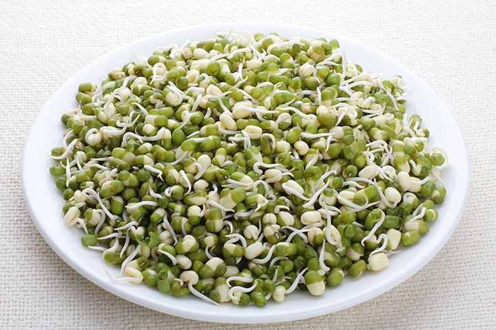 Feeding raw sprouts to babies may cause food poisoning.
