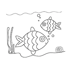 Fish Coloring Page Of Animals_image