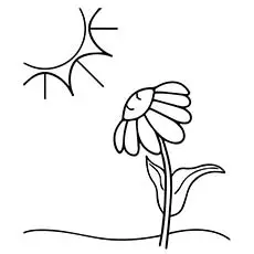 Flower and sun in mid summer coloring page
