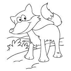 Fox Coloring Page Of Animals_image