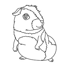 Guinea pig coloring page of animals