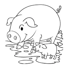 Pig Coloring Page Of Animals_image