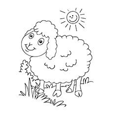 Sheep coloring page of animals