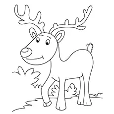 Simple reindeer coloring page