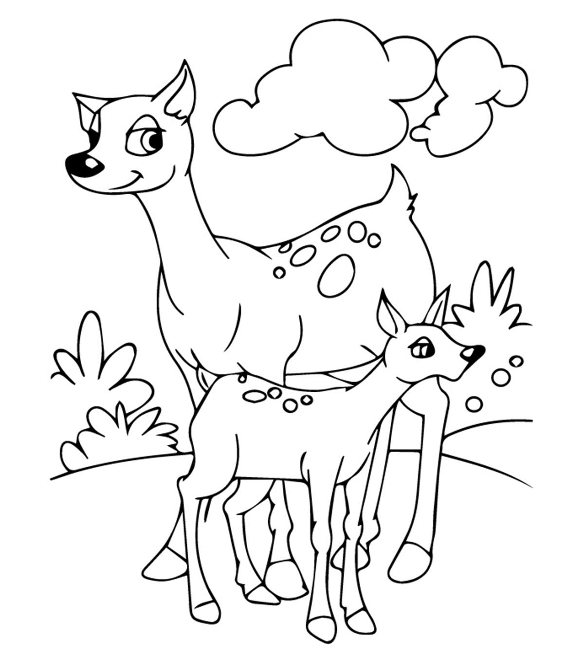 Animal Coloring Pages - MomJunction