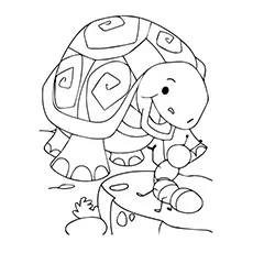 Tortoise Coloring Page Of Animals_image