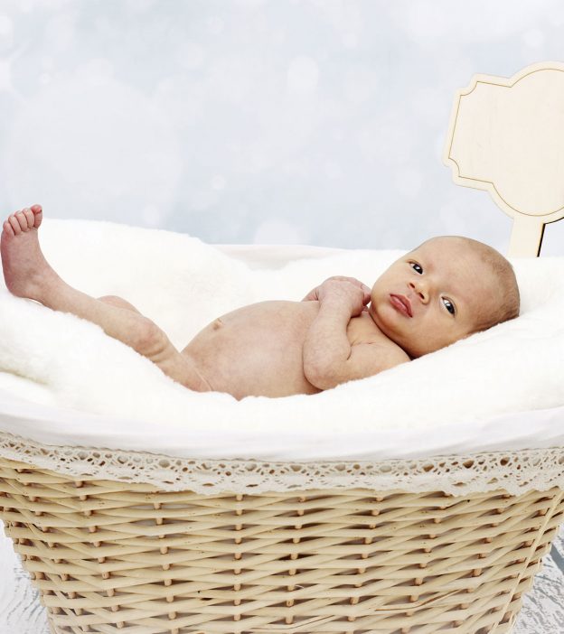 10 Best Moses Baby Baskets To Help Your Baby Sleep In 2022