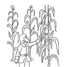 Corn Maize Thanksgiving coloring page_image