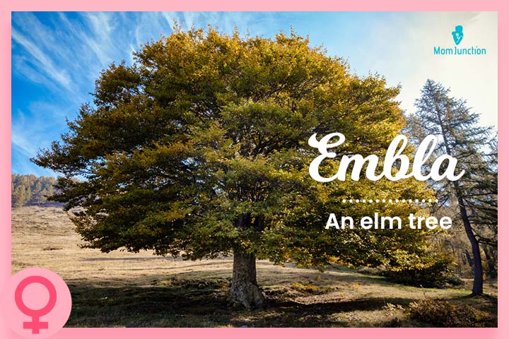Embla was a goddess equivalent of Eve meaning elm tree