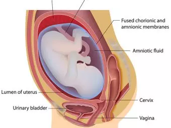 How To Recognize Leaking Amniotic Fluid And What To Do?