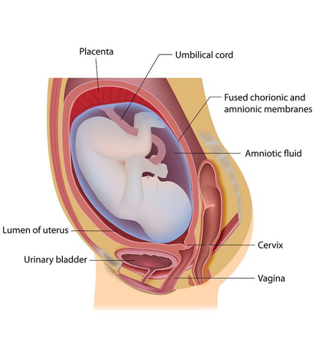 How To Recognize Leaking Amniotic Fluid And What To Do