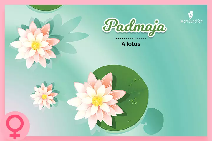 Padmaja, a lotus