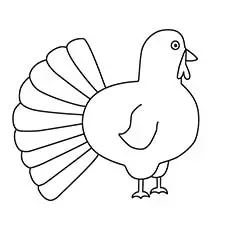 Simple Turkey Thanksgiving coloring page
