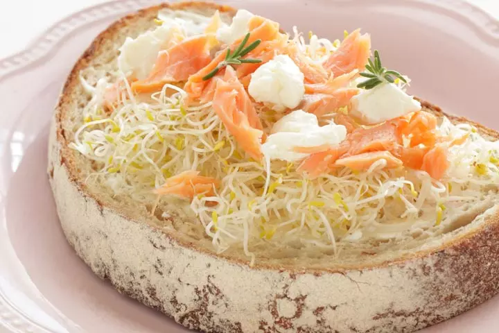 Sprouts open sandwich vegetarian recipes during pregnancy