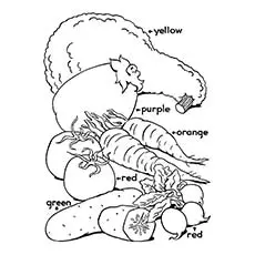 Thanksgiving Harvest coloring page_image