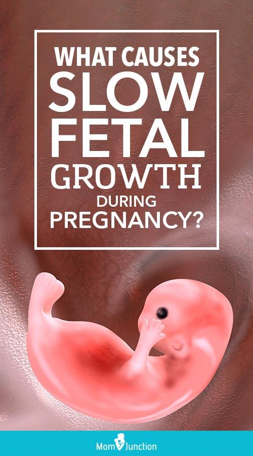 What Causes Fetal Growth To Slow Down