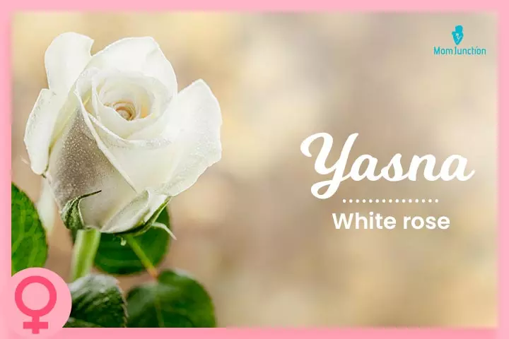 As beautiful as a white rose, Muslim girl names