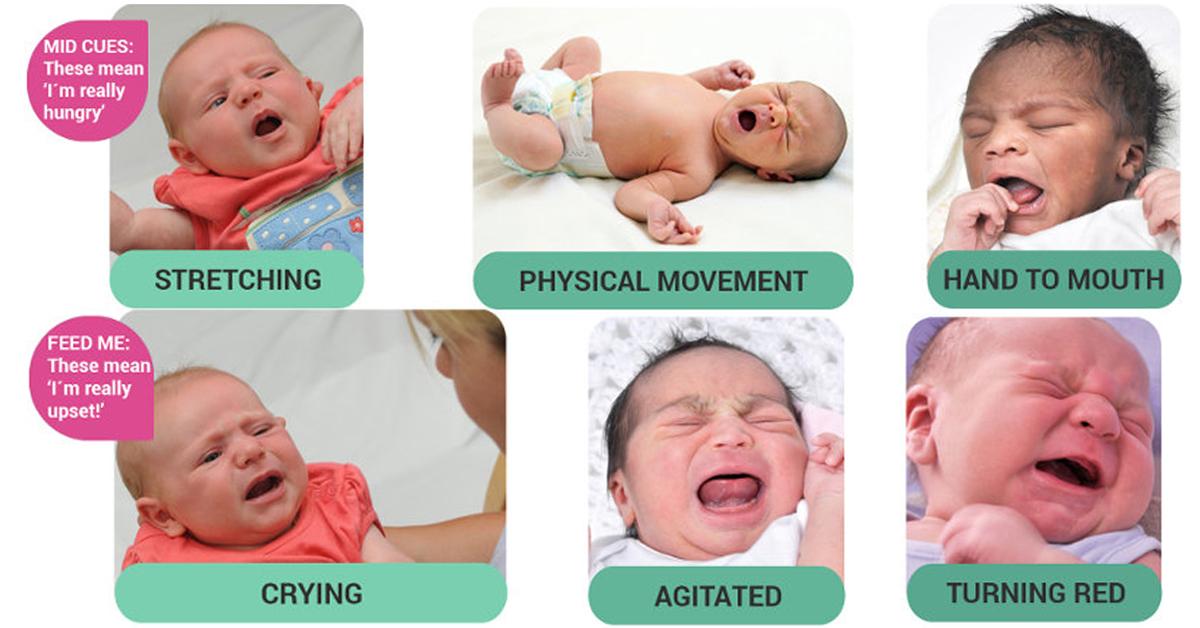 baby-s-hunger-cues-how-to-identify-them