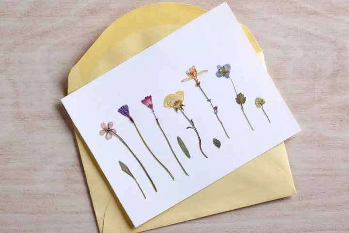 Easy pressed flower card, greeting card making ideas for kids