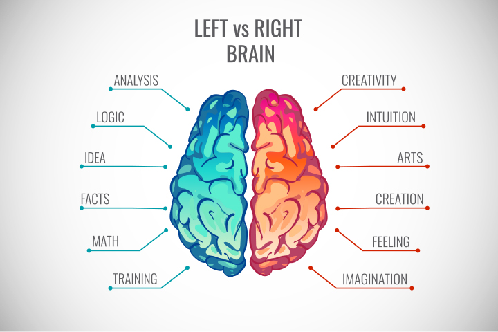 Right part of the brain aids creative thinking