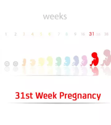 31st Week Pregnancy