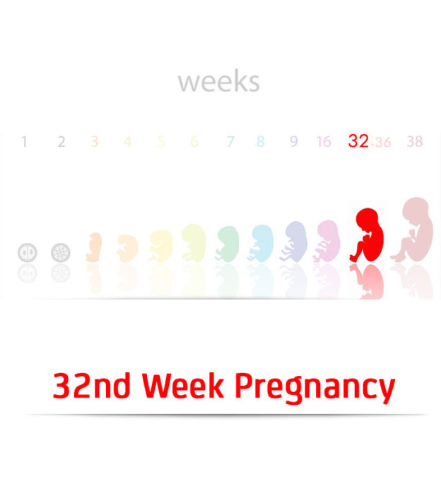 32 Weeks Pregnant: Symptoms, Baby Development And Changes