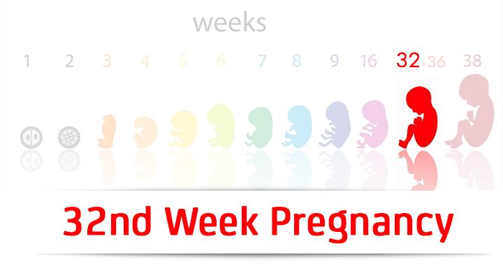 32nd Week Pregnancy Symptoms Baby Development And Body Changes