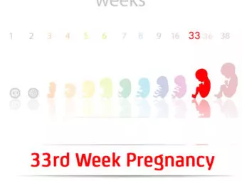 33 Weeks Pregnant: Signs, Baby Development Milestones & Tips
