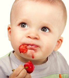 6 Tasty Cherry Purees You Can Make For Your Babies