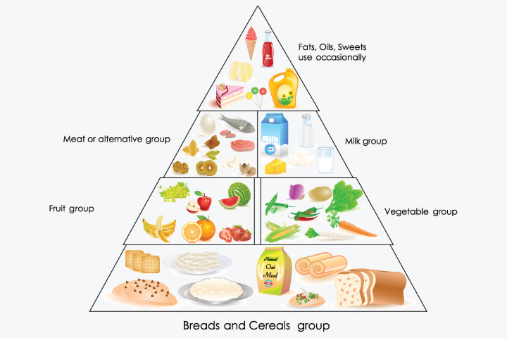 Balanced Diet Chart For School Project