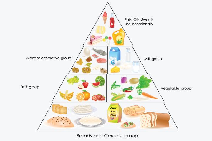 Balanced Diet Chart For Toddlers A Complete Guide