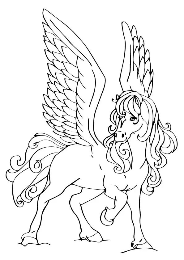 Beautiful-Pegasus