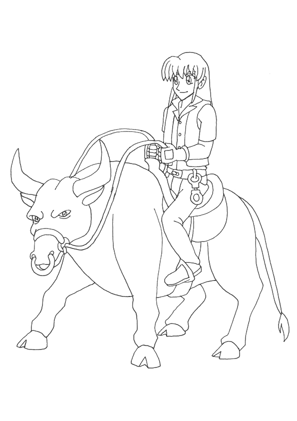 Bull-Riding