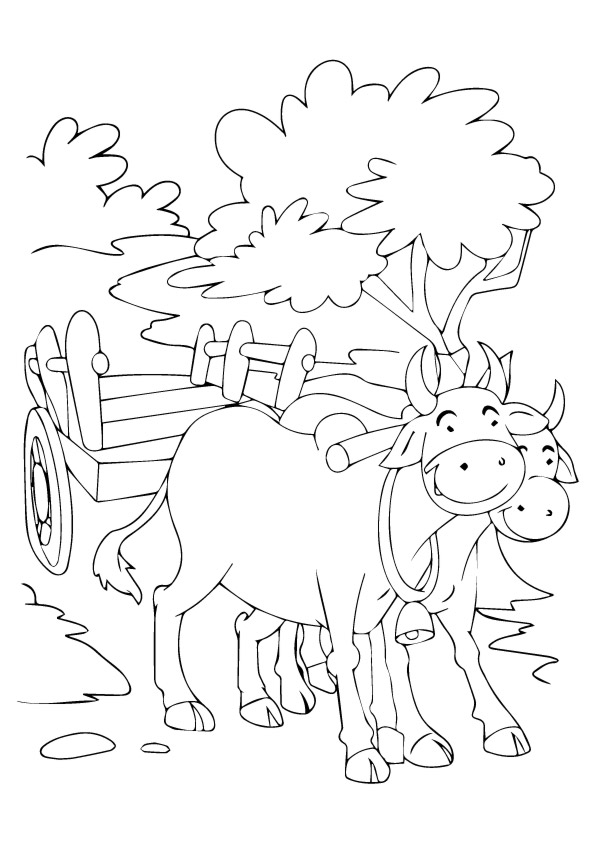 Bullock-Cart